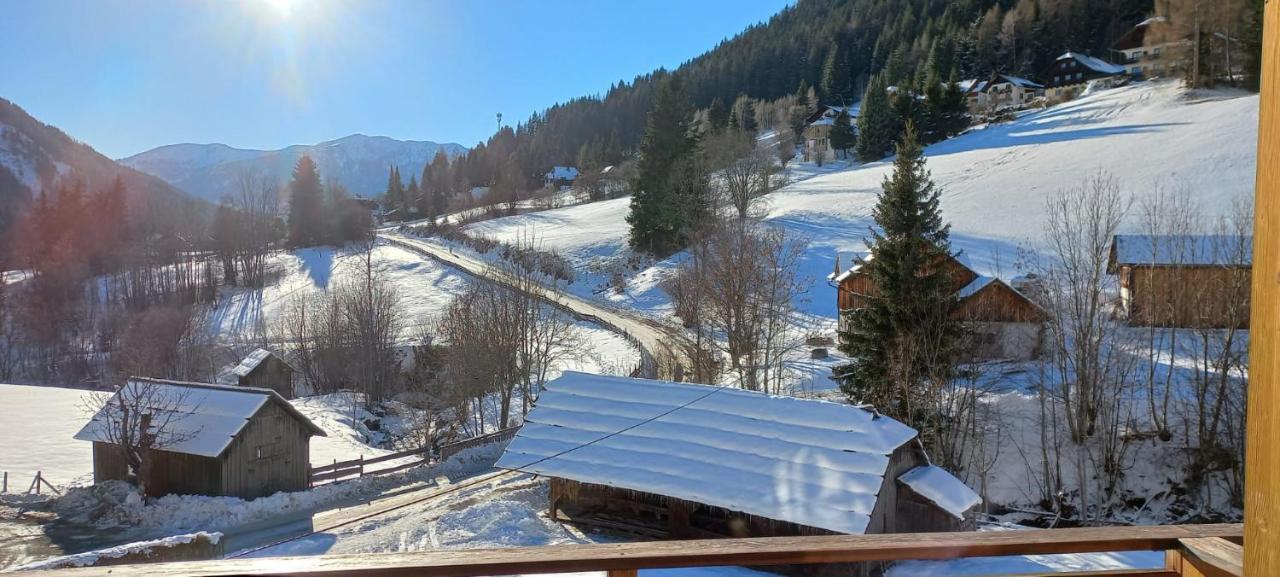Schoenes Apartment Praegant Bad Kleinkirchheim Eksteriør bilde